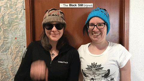 kaki birdoftheyear GIF