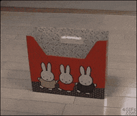 cat GIF