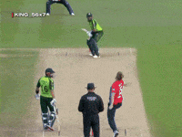 Babar Azam Goat GIF