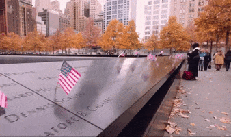 new york GIF