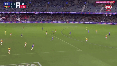 Left Foot Afl GIF by Adelaide Crows