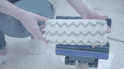 wapoficial  GIF