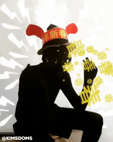 davidkims wtf crazy mad artist GIF