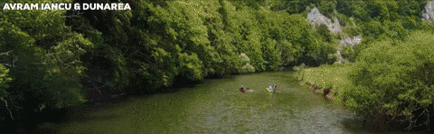 avram iancu swim GIF