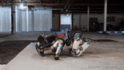 GIF by Mashable