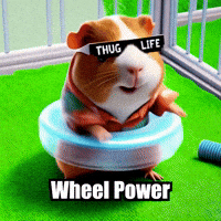 GIF by Guinea Gambino