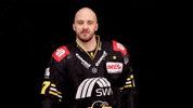 Hockey Del2 GIF by Krefeld Pinguine