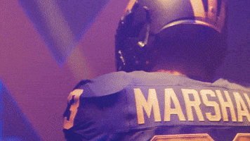 Go Blue Michigan Football GIF by Michigan Athletics