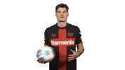 Bayer Leverkusen Ball Sticker by Bundesliga