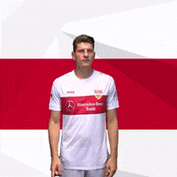 Keep Calm Mario Gomez GIF by VfB Stuttgart