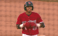 tincaps love happy baseball fort wayne GIF