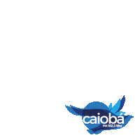 caiobafm ahoradorango caiobafm nãodigalodigacaioba ligaesucesso Sticker