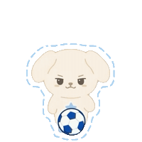 윤두준 Sticker