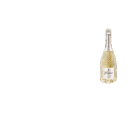 Celebrate I Love You Sticker by Freixenet