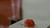 get lost catharsis GIF by Topshelf Records