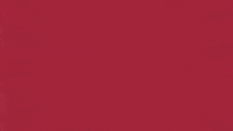 Charroslmb2025 GIF by Charros de Jalisco