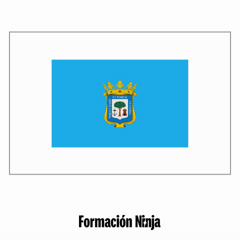 Flag Pixel Art GIF by Formación Ninja