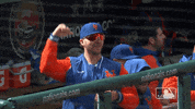 Pete Alonso GIF by New York Mets
