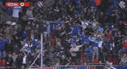 Rangers Fc Soccer GIF by Rangers Football Club