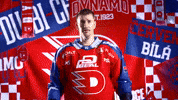 Roman GIF by HC Dynamo Pardubice