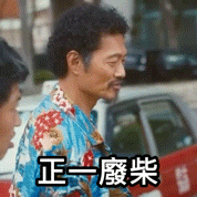 Tiger Mirror GIF by ViuTV