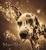 N Miguel GIF
