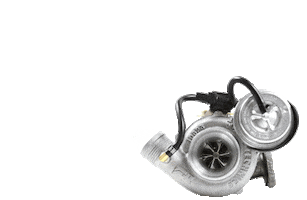 Sign Audi Sticker by Revo Germany