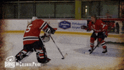 happy college sports GIF by Robert Morris University Athletics