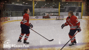 happy college sports GIF by Robert Morris University Athletics