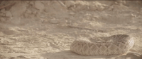 GIF by Gunpowder & Sky