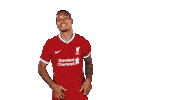 Premier League Football Sticker by Liverpool FC