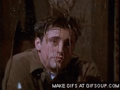 window joey GIF