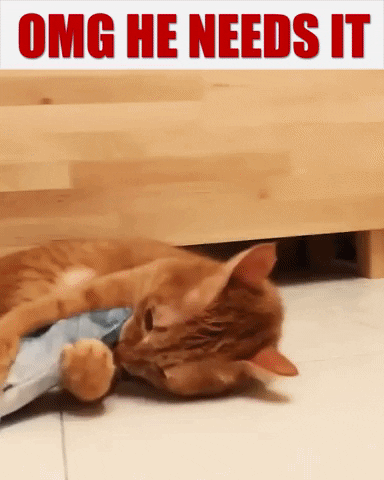 elizabethdiazdf48 giphygifmaker GIF