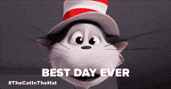 Bill Hader Cat GIF by Warner Bros. Pictures