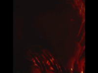 fashion romance GIF by Amir Obe
