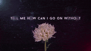 Somebody To Love GIF by OneRepublic