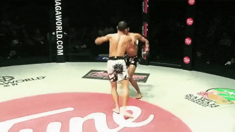 knock out mma GIF