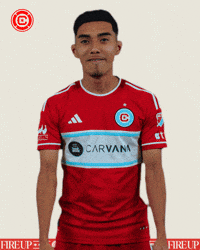 Vamos Chicago Fire GIF by Chicago Fire Football Club