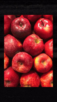 Apple Pie Autumn GIF by Art in the Age Spirits