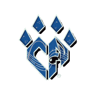 CASTL ca stl st louis cheer athletics Sticker