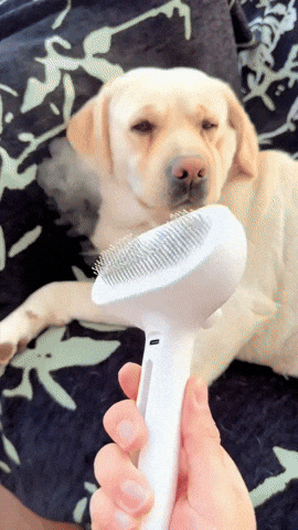 scoopscoopit giphyupload GIF