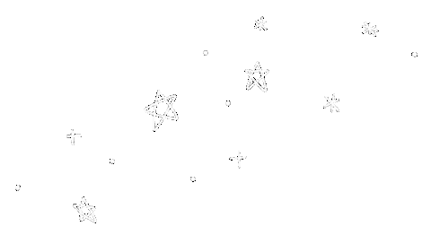 Stars Shining Sticker by The Paper Bunny