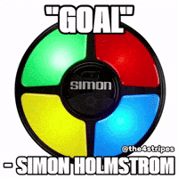 Goal Hockey GIF