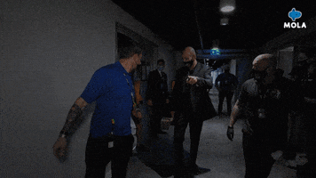 Angry Ultimate Fighting Championship GIF by MolaTV