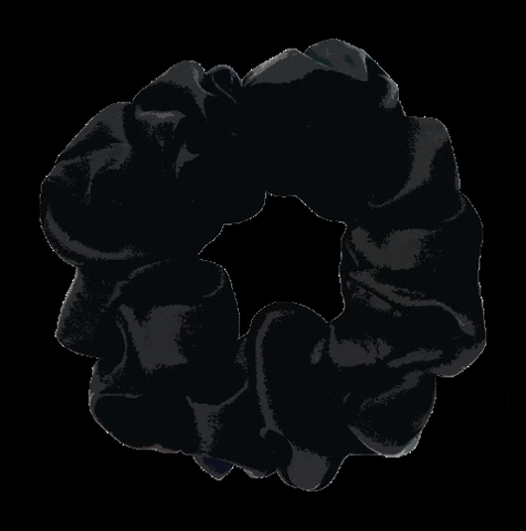 bydariiaday silk scrunchie hair accessories bydariiaday GIF