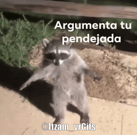 Argumenta GIF