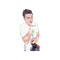 Nickycameras Sticker by Fotsbeats