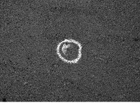 Paatrice chalk craie paatrice ouature GIF