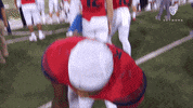 Arizona Wildcats Omg GIF by Pac-12 Network