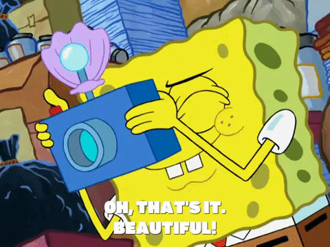 season 8 episode 3 GIF by SpongeBob SquarePants